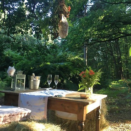 La Haye-du-Theil Domaine Du Vertbois المظهر الخارجي الصورة