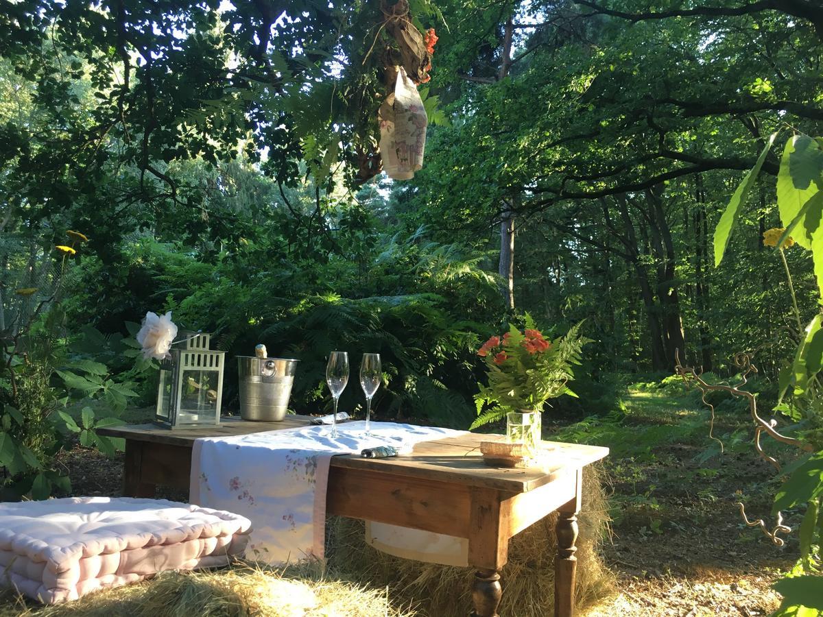 La Haye-du-Theil Domaine Du Vertbois المظهر الخارجي الصورة